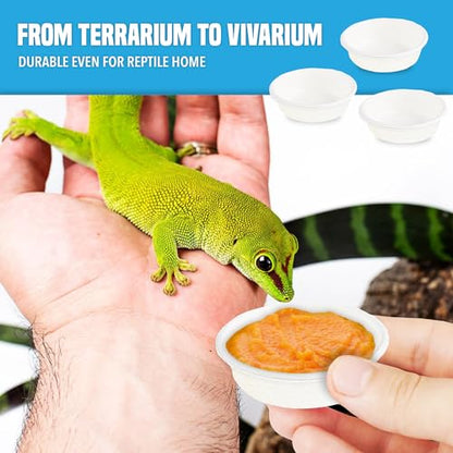 Pet Food and Water Cups, No More Soaking Dishes, Fits on Slim Ledges, No Food Leftover, No Plastic Leftover, Add to Compost or Isopod Tub, Suitable for Gecko Tanks (2 oz, 100 Pack)
