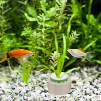 25 Sets Aquarium Plant Anchors Sturdy Ceramic Pots Prevent Floating Secure Root Growth Easy Use for Various Aquatic Plants