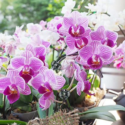 KINGLAKE Orchid & Plant Support Clips - 100 Pcs Dark Green Garden Cymbidium Clips to Keep Stems & Vines Upright