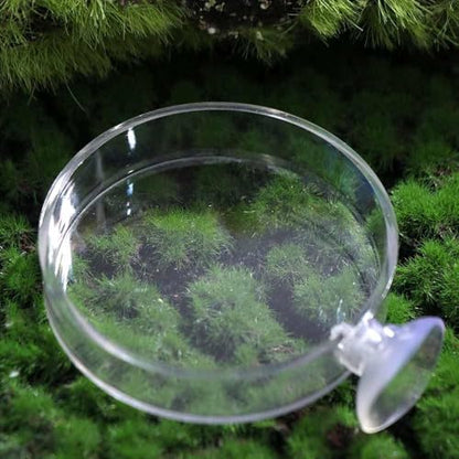 Shrimp Food Box, Round/Square Practical Fish Feeding Bowl, Acrylic Transparent Aquarium Accessories Fish Feeding Dish Shrimp Food Feeding Circle(D)