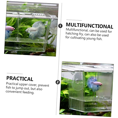BESPORTBLE Transparent Fish Breeding Box Dual Layer Incubation Container for Fry Durable Aquarium Isolation Box with Suction Cup Design for Young Fish Care Large