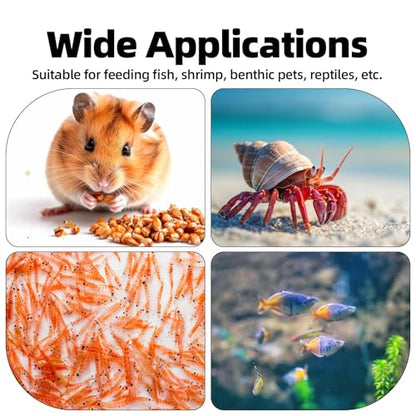 Fish Tank Feeder Dish with Suction Cup, Transparent Acrylic Aquarium Shrimp Feeder Dish with Suction Cup for Shrimp Fish and Aquatic Pets Aquarium Tanks Feeding