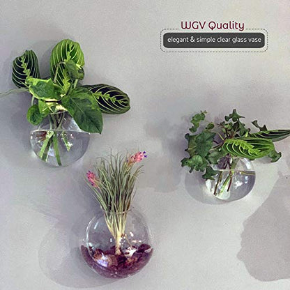 WGV Wall Hanging Planter Terrarium Bulk, Diameter 5", Clear Mounted DIY Succulents Air Glass Floral Container Vase, Tea Light Votive Candle Holder for Decoration 6 Pieces - size: 5"D
