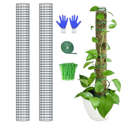 2 Pack Metal Moss Pole, 40" Moss Poles for Plants Monstera, Stackable Sphagnum Moss Pole for Climbing Plants Work with Sphagnum Moss(2 Pack 40") - color: 2 Pack 40"