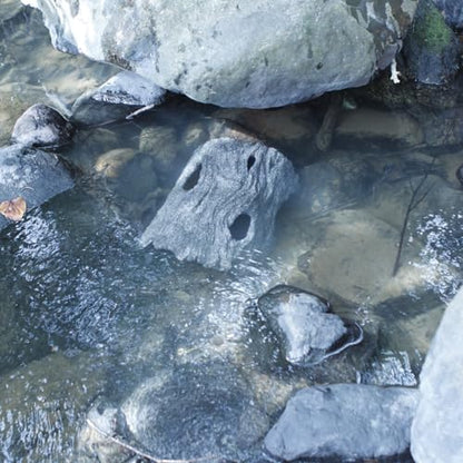 Fish Cave, Camouflage Hiding Shelter for Koi Pond, Realistic Underwater Sanctuary with Weighted Base to Protect Fish from Herons