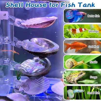 VCEPJH Betta Hammock with Suction Cups Betta Resting Spot 3 Pcs Shell Bed Toys for Aquarium Small Fish Natural Spawning Grounds Breeding Fish Tank Accessories Decorations