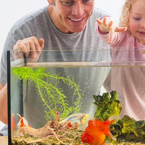 Kisangel Natural Driftwood Branch Aquarium Decoration 7.87 Inch Real Wood Fish Tank Ornament for Freshwater Aquatic Plant Anchoring and Fish Shelter