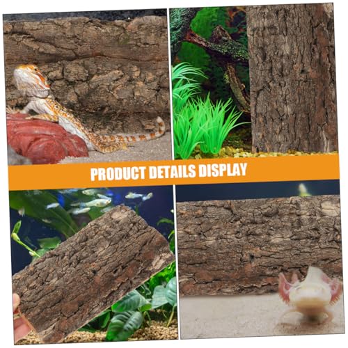 BESPORTBLE 3pcs Reptile Cork Bark Background for Terrarium Natural Tree Bark Decor for Fish Tank and Reptile Habitat and Safe Wall Decor