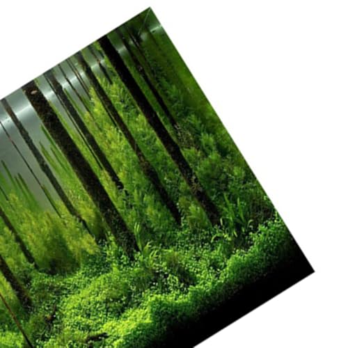 24In Self-Adhesive PVC Aquarium Background Easy Install Decor Paper Water Proof Fish Tank Backdrop with Vivid Underwater Forest Design