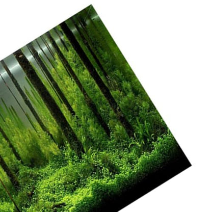 24In Self-Adhesive PVC Aquarium Background Easy Install Decor Paper Water Proof Fish Tank Backdrop with Vivid Underwater Forest Design