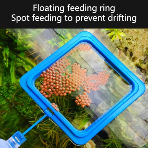 2pcs Fish Tanks Feeding Rings Small Fishes Feeders Rings Circle Buoyance Fish Feeders for Easy Installation and Cleaning