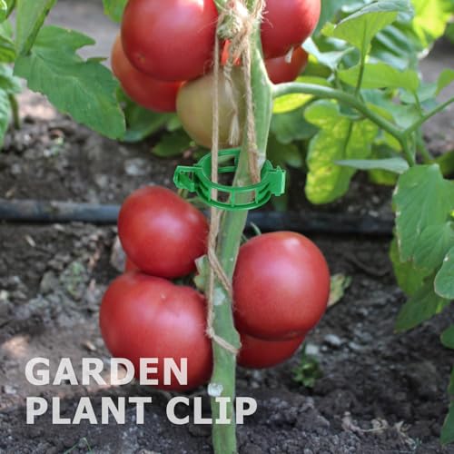 100PCS Green Plant Support Clips, Tomato Clips, Garden Clips, Trellis Clips, Vine Clips for Climbing Plants to Prevent Tomatoes from Pinching or Falling Off - color: Green 100pcs
