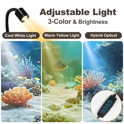 Desktop Aquarium Mini Tank Kit, 1.2 Gallon Rimless Cube with Filter, LED Spotlight, Black Background, Glass Construction, Pipette for Betta Fish, Guppies, Tetras