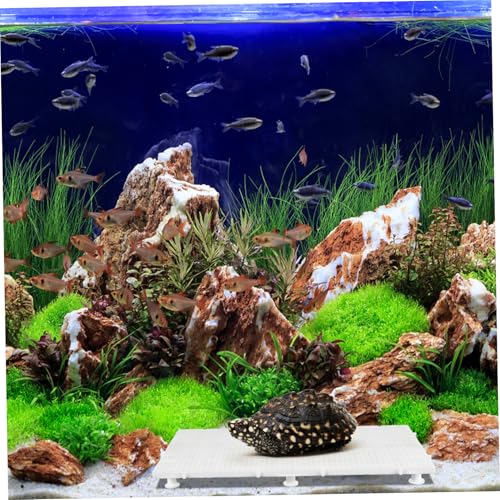 Yardwe 1set Aquarium Divider Mesh Panel for Fish Tank Isolation Reusable and Easy to Install for Fish and Turtle Basking Platform Includes Support