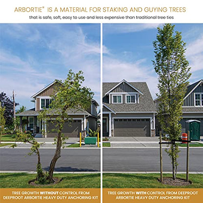 DeepRoot ArborTie Heavy-Duty Ground Anchoring Kit for Tree Support, Includes Three 10’ ArborTie Green and Three 15” Steel Eye Earth Anchors, Versatile Tree Stake Kit, Landscaping Stakes (AT HD15)