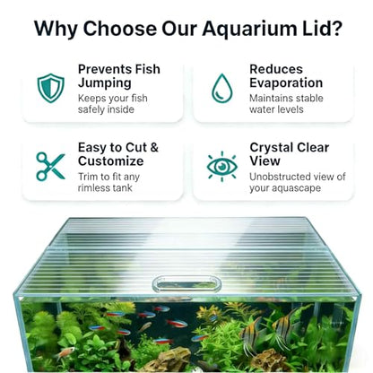 Aquarium Canop Polycarbonate 15.37 x 7.63 x 0.24 for 5/10 Gallon Without Center Brace Aquariums Cover Aquarium Lid，Clear