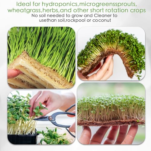 Microgreens Growing Trays Kit – 6 Pack Micro Green Grow Trays with 12 Hemp Fiber Grow Mats, 15 x 11 x 2.5 Inch Seed Starter Trays for Growing Microgreens, Indoor Gardening - size: 15in-6P with 12 Mats