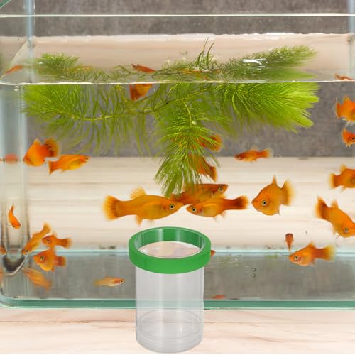 UPKOCH Aquarium Fish Breeding Box Floating Fish Incubation Hatchery Tank Isolation Divider for Guppy Fry and Egg Hatching in Small Colored Tank