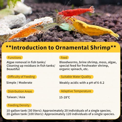 20+ Mixed Neocaridina Shrimp Assortment - Cherry, Fire Red, Blue Velvet & More |Live Freshwater Shrimp for Aquariums[10/20/30 Packs] (20)
