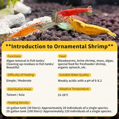20+ Mixed Neocaridina Shrimp Assortment - Cherry, Fire Red, Blue Velvet & More |Live Freshwater Shrimp for Aquariums[10/20/30 Packs] (20)
