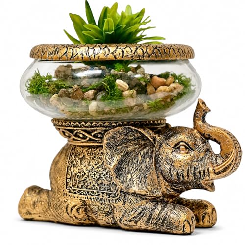 Good Luck Elephant Terrarium Bowl – Antique Gold Elephant Figurine with Removable Glass Bowl, Succulent Planter, Candle Holder, Air Plant Display & Zen Home Décor Accent