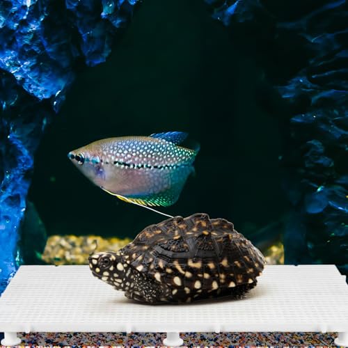 HEMOTON 1set Fish Tank Divider Board Reusable Aquarium Isolation for Fish Turtles and Amphibians Promotes Healthy and Water Circulation Support Non-Weighted Mesh Panel