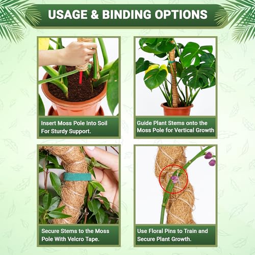 Bendable Moss Pole 48 Inch for Monstera & Climbing Plants – Pack of 2 Coco Coir Moss Poles for Indoor Plant Support, Trellis Pole for Pothos, Philodendron, Tall Plant Stakes for Home Gardeners