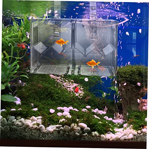 YARNOW Aquarium Isolation Box for Fish Breeding Separation Container Easy Install Breeding Holder to Increase Survival Rate Sturdy Design for Fish Tank Use