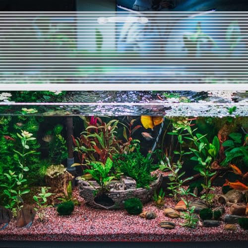 Sieral 2 Pcs Clear Aquarium Canopy Set Polycarbonate Greenhouse Panels 22.95 x 11.5 x 0.24 Inch for 33/40/55 Gallon Fish Tank with Center Brace Aquariums Cover Fish Tank Lid - color: clear, size: 48 x 13 Inch