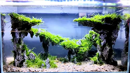Fish Tank Decor Rocks.Aquarium Decoration Model.Easy and Quick Solution for Aquascaping.(Twilight) - style: Twilight