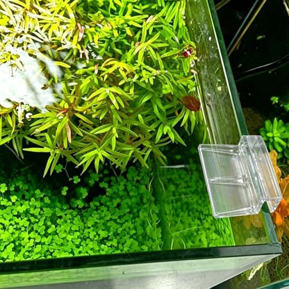Murtenze 8 PCS Aquarium Lid Clips, 8mm Clear Acrylic Fish Tank Holder Support Clamps for Rimless Aquariums - size: 8mm