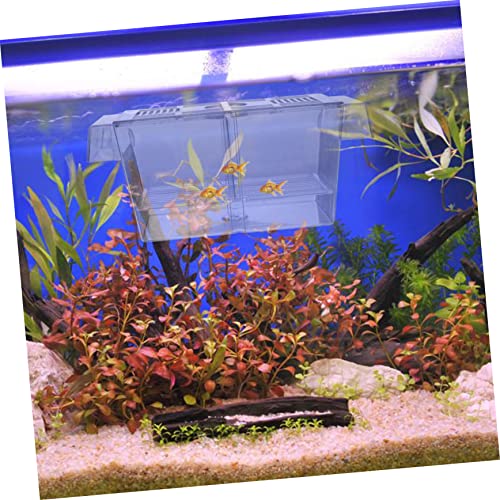 Abaodam 1pc Aquarium Breeding Box Suction Cup Isolation Container for Fish Durable Acclimation Case for Separating Enhances Survival Rate Aquariums