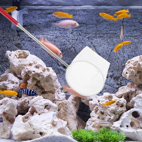 BESPORTBLE Mini Telescopic Shrimp Net for Aquarium with Extendable Handle Small Fine Mesh Fish Net for Shrimp Catching and Aquarium Maintenance