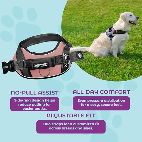Joyride Dog Harness 2.0 | No-Pull | Pink 2.0 | L | Reflective no-choke quick-fit vest with 3 leash clips and escape-resistant design for easier walks and training - color: Pink 2.0, size: L