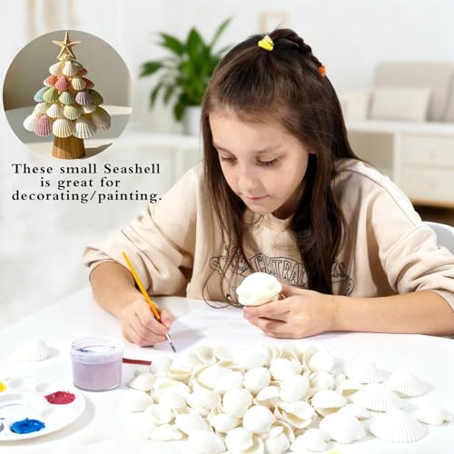 130-140Pcs Bulk Natural Small Seashell - 0.8-1.2 inches White Seashell Small Sea Shells Clams for Home Decor, DIY Crafts, Jewelry/Bracelet Making, Beach Theme Party, Fish Tank Vase Filler - size: 0.8-1.2inches