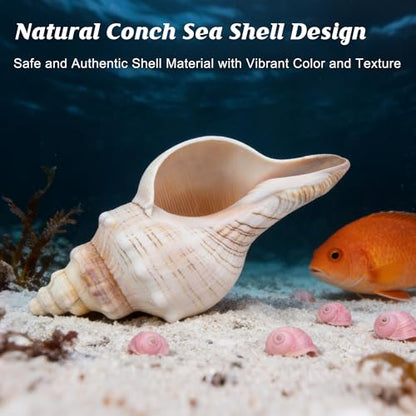 2PCS Conch Shell Large Natural Seashells Perfect for Fish Tank Wedding Decor Beach Theme Party Home Decorations