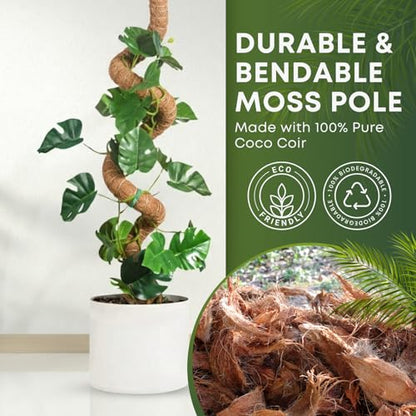 Moss Pole Monstera Plant Support | 48 Inch Plant Stakes for Indoor Plants | Coconut Palm Fiber Moss Poles for Climbing Plants | Handmade Plant Sticks Support Tall Monstera, Pothos & More