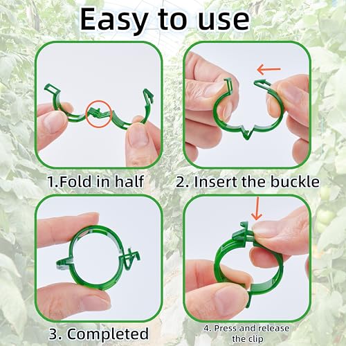 100Pcs Garden Vine Plant Support Clips,Plastic Fixing Clips for Securing and Training Climbing Plants,Tomatoes,Grapes,Vine Vegetables and Potted Plant (100, Green)