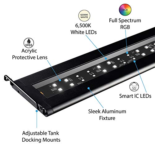 Current USA 72" Inch Satellite Freshwater LED Plus Full Spectrum RGB+W Light for Aquariums | Wireless 24 Hour Remote Control Fish Tank Lighting (4509)