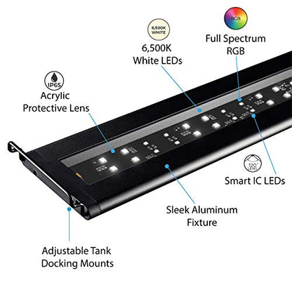 Current USA 72" Inch Satellite Freshwater LED Plus Full Spectrum RGB+W Light for Aquariums | Wireless 24 Hour Remote Control Fish Tank Lighting (4509)