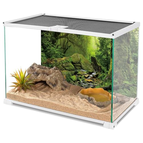 AWERT Tropical Forest Terrarium Background Stream Green Huge Tree Reptile Habitat Background Foggy Rainforest Aquarium Background 36x20 inches Durable Polyester Background - size: 36 x 20 inches