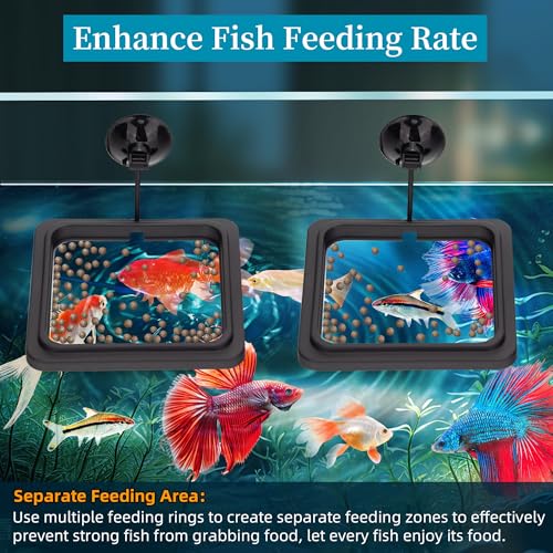 Fish Feeding Ring Aquarium Square Floating Food Feeder Circle with Strong Suction Cup Fish Tank Feeding Ring for Betta Goldfish Guppy
