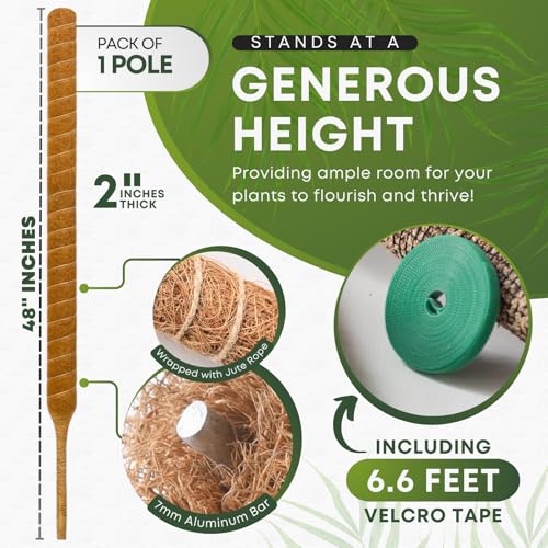 Moss Pole Monstera Plant Support | 48 Inch Plant Stakes for Indoor Plants | Coconut Palm Fiber Moss Poles for Climbing Plants | Handmade Plant Sticks Support Tall Monstera, Pothos & More