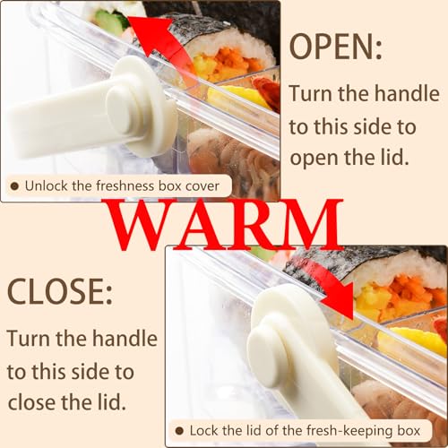 Fruit Ice Divided Serving Tray with Lid, Ice Underneath and Handle, Chilled Serving Platter for Parties, Shrimp Cocktail Serving Dish, Chilled Veggie Tray for Keep Food Cold Outside Party