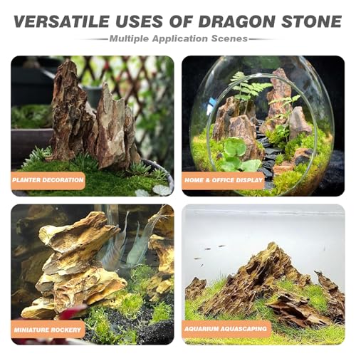 Dragon Stone Aquarium Rocks 5lb Seiryu Stone for Aquariums Landscaping Model Fish Tanks Terrariums Vivariums Paludarium Amphibian Enclosures(2-4 inches) - size: 5LB(2-4 inches)