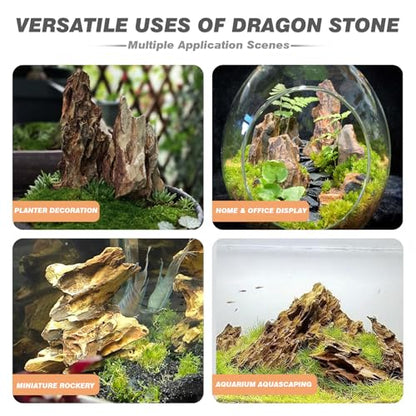 Dragon Stone Aquarium Rocks 5lb Seiryu Stone for Aquariums Landscaping Model Fish Tanks Terrariums Vivariums Paludarium Amphibian Enclosures(2-4 inches) - size: 5LB(2-4 inches)