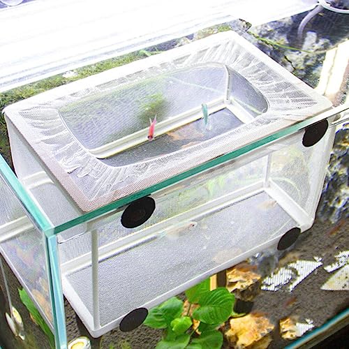 Fish Box- Aquarium Hatchery Net, Fish Breeding Box with Suction Cup for Aquarium Fish Tank (Size L)