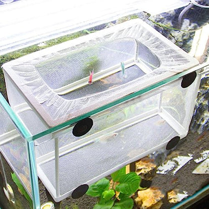 Fish Box- Aquarium Hatchery Net, Fish Breeding Box with Suction Cup for Aquarium Fish Tank (Size L)