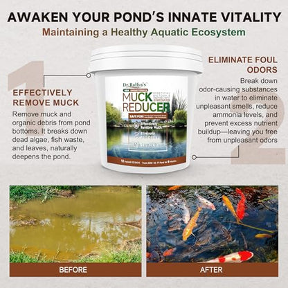 Dr.Raifya’s Muck Reducer 6 LB – Natural Pond Sludge & Odor Treatment, All-in-One Enhanced Cleaning Power in Ponds & Lakes, Beneficial Bacteria Safe for Fish, Pets & Wildlife, Treats Up to 48,000 Sq Ft