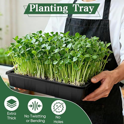 Upgraded 20 Pack Plant Growing Trays Seed Starting Tray Microgreens Growing Trays Seedling Plant Germination Starter Tray Transplant Fodder Flats, No Holes, No Leakage, Reusable (1015) - size: 1015